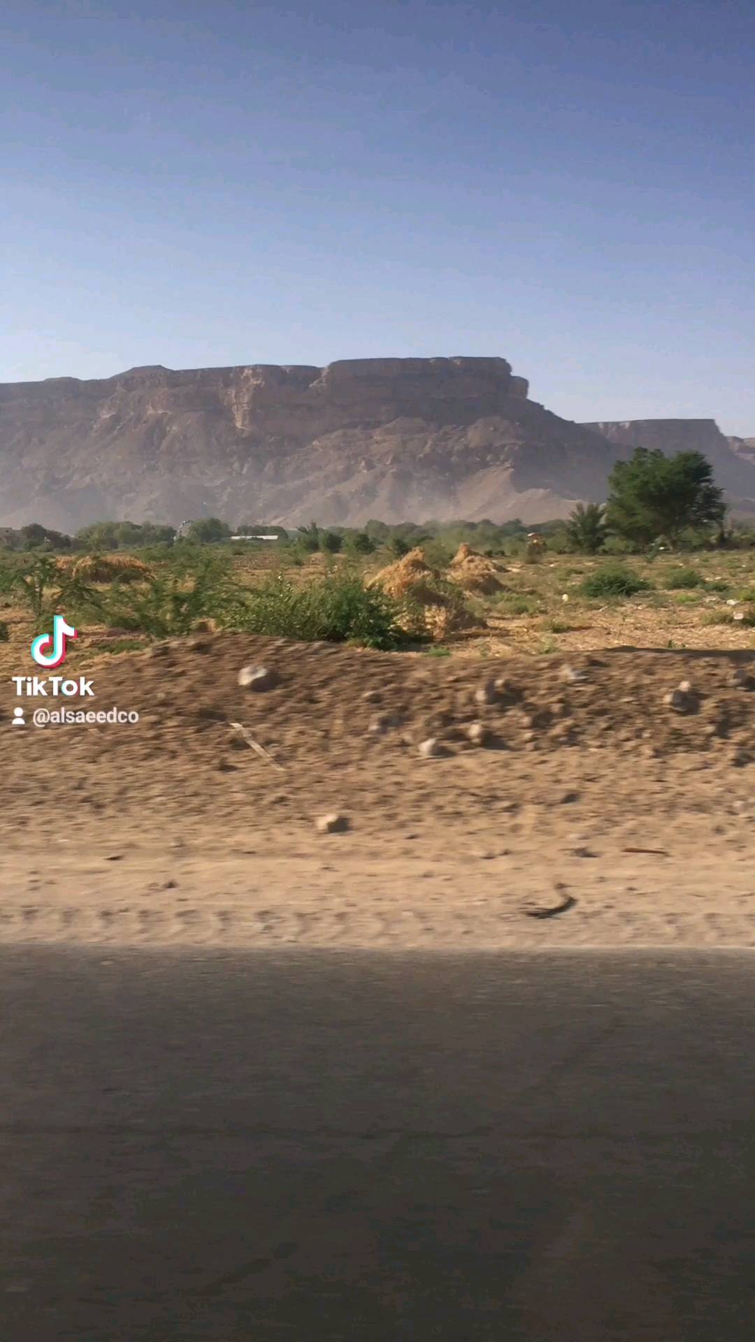 The Happiness Of Your Life Depends On the Quality Of your Thoughts.
.
.
.
.
.
.
.
.
.
.
.
#alsaeedco #health #honey #yemenisidrhoney #sidrhoney #sunnah #eid #ramadan #yemen #hadramout #tarim #sumar #sumarhoney #yemenihoney #pure #skin #onlineshopping #sale #perfume