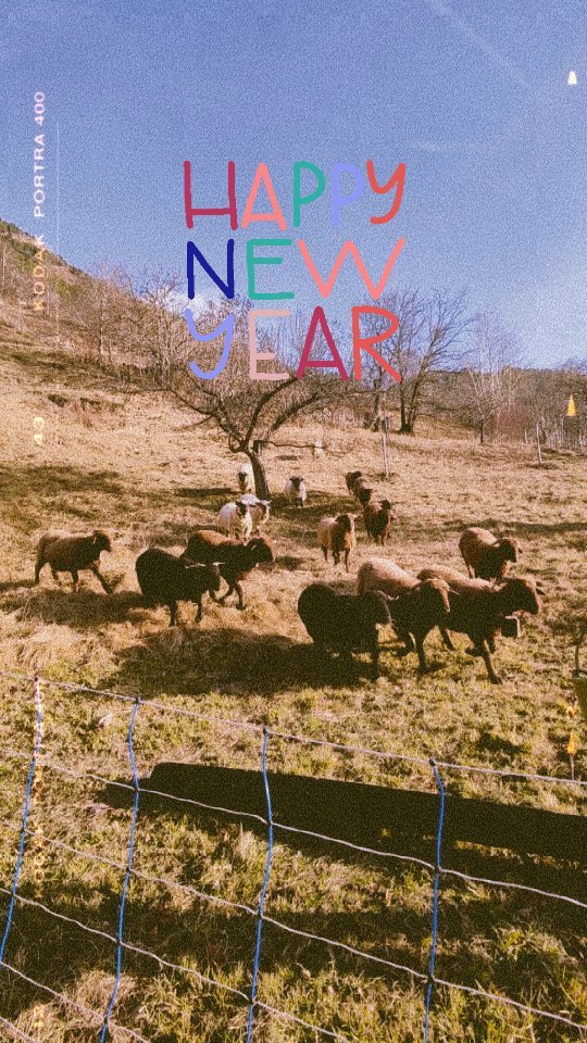 Wir wünschen euch einen guten Rutsch und ein tolles neues Jahr 2024.
#brandeija #happynewyear #walliserlandschaf #braunköpfigesfleischschaf