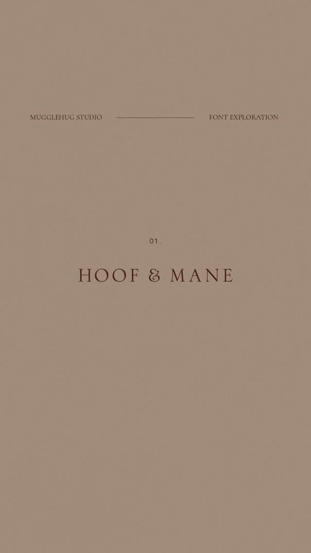Font exploration for Hoof & Mane this Type Thursday! Although I had inspiration from old equestrian magazines (I see you, The Morgan Horse & The Country Gentleman), the sky was really the limit. Every crisp, luxury serif font seemed to work, but then every elegant italic also fit a certain feel. Even the clean sans serif looked timeless with a modern twist. I was swimming in options, and all were working.
Ultimately I narrowed it down to my three favorites: Opti Serlio, Caslon Pro Italic, and HWT Roman Extended Lightface. These three felt traditional enough to honor the brand’s long history while still conveying prestigiousness. I was so set on Opti Serlio that I had all sorts of logo marks mocked up, and even had shared the design on my page! But the deeper I went, the less it felt right.
In the end, which do you think I chose? Which would you use?
Opti Serlio | Blair MdITC TT Medium | The Seasons | HWT Roman Extended Lightface | Freight Big Pro | Lovato Demi | Caslon Pro Italic
.
.
.
Created in @adobe Illustrator. @briefclub
#mugglehugstudio #typetuesday #typography #fontinspiration #fonts #typographyinspo #fontpairings #typelover #typographydesign #creativeinspiration #graphicdesign #discoverunder2k #inspofinds #fontcrush #brandingideas #brandinginspo #equestrianbrand #horsebrand #logodesigners #designingwomen #magicaldesign #midwestartists #designinspiration #creativewomen #creativedesigner #smallcreatives #briefclub #TBCthrowback