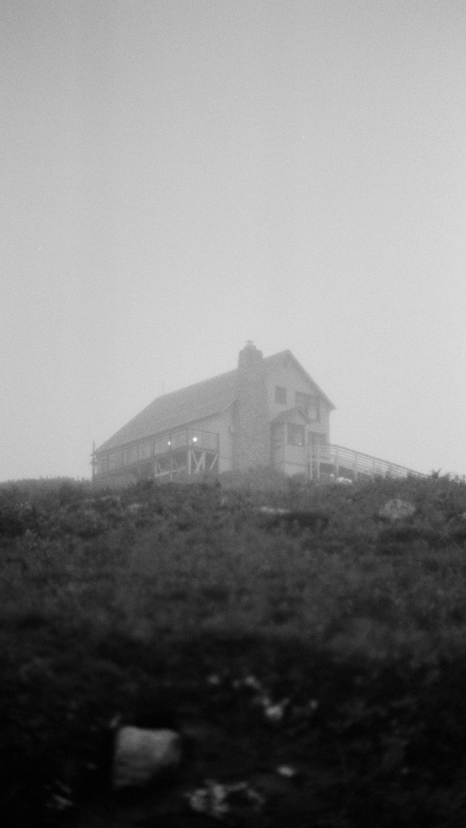 The best kind of surprise 🎞 #photography #filmphotography