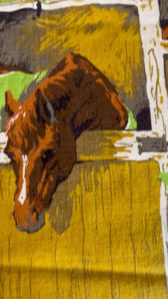 Found… the most amazing fabric at value village … made a bag …