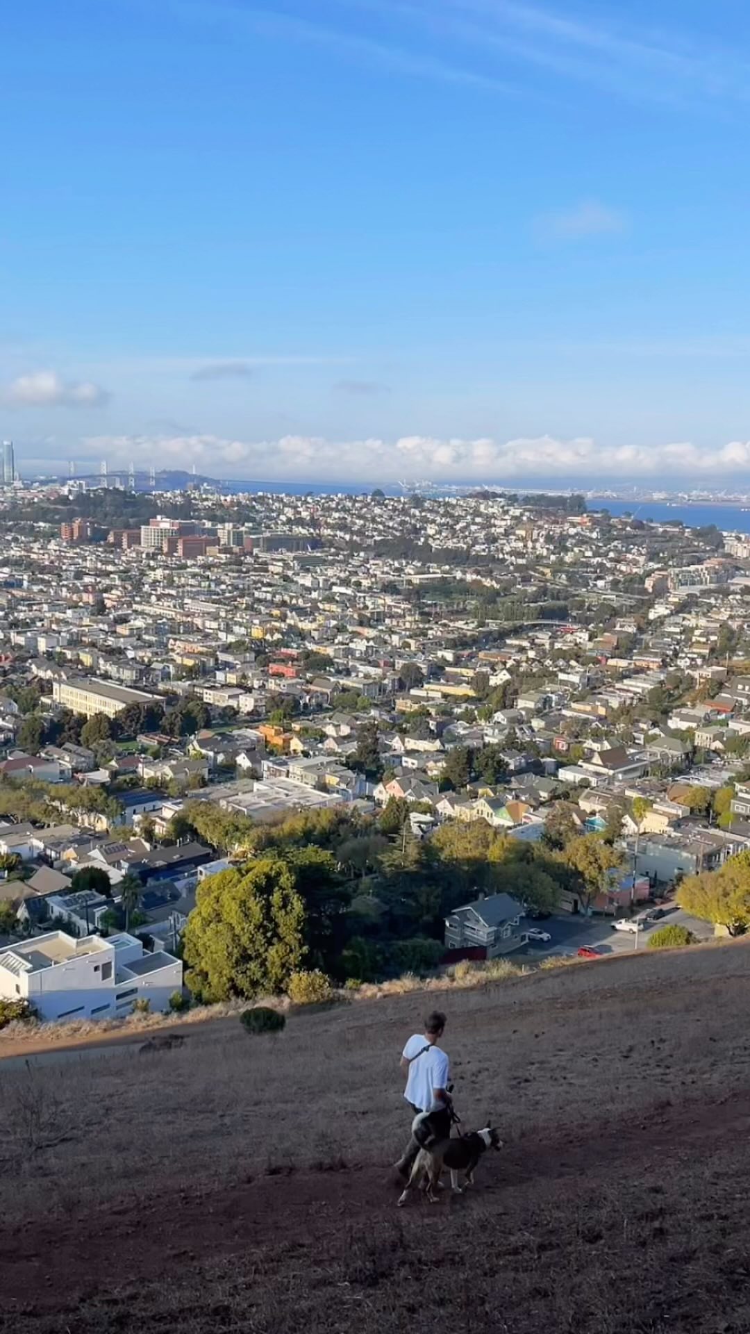 Morning routine 🌞 #dogsofsf #sanfranciscodogs #sanfrancisco #sfdogs #bernalheightssf #bernaldogs #happydogs #dogoftheday #lovedogs #dogstagram #instadog #pachadog #explorewithdogs #adventuredog #dogtraining
