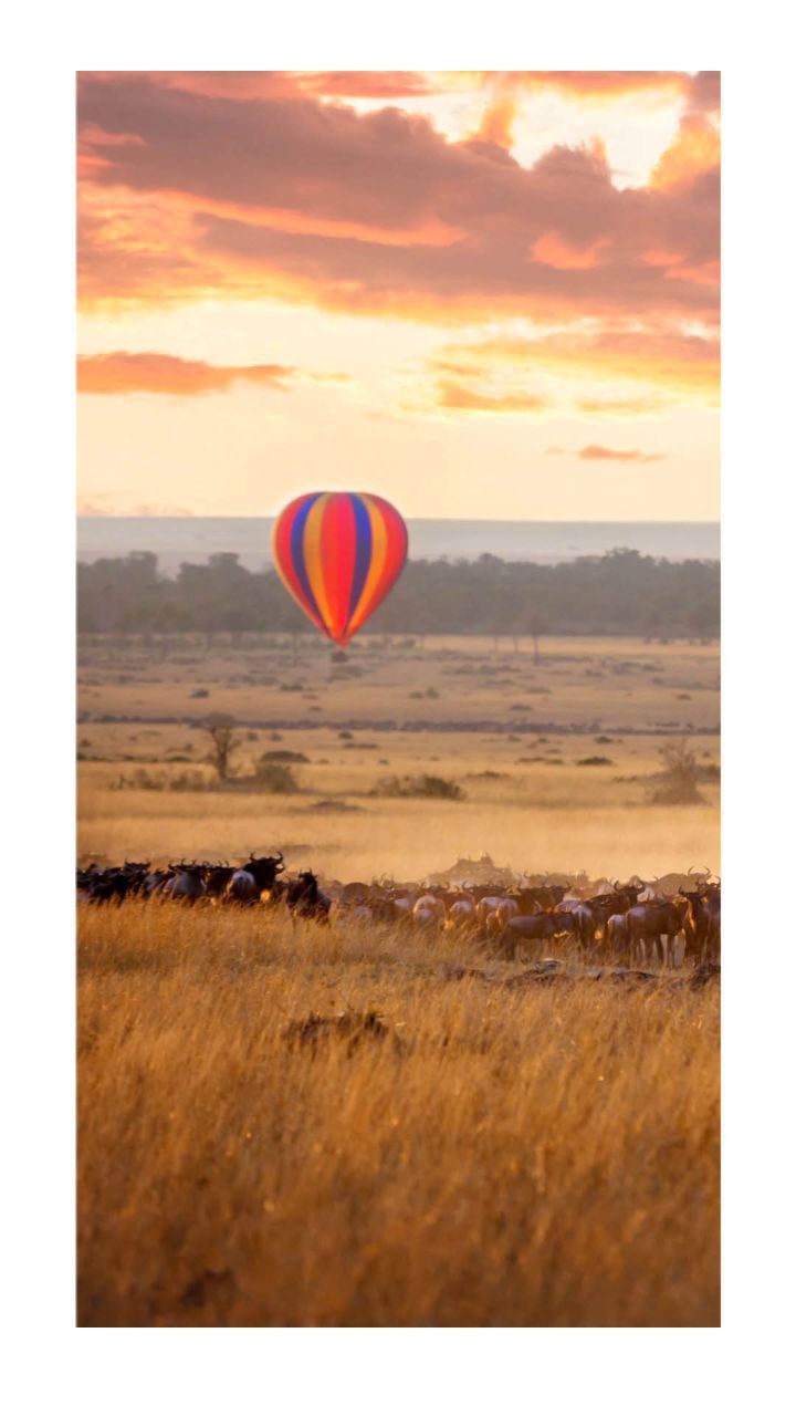 Magnificent Serengeti.
Tick that bucket list with us, the African Specialists. We will be with you every step of the way.
Your African adventure starts now.