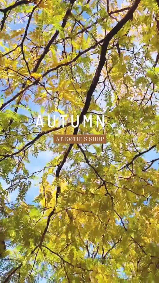 Yay Autumn is here 🍂 🥮 🍁. Fall is definitely my favorite season of the year as it is a warning that the end of the year is near and a reminder that not all endings are ugly but can often times be full of surprisingly beautiful colors!
To celebrate fall we have an Autumn collection that includes sapin tea, chamomile tea in glass containers, an autumn harvest candle that smells like spiced apple 🍎 and a Mom's Apple pie eco friendly soap bar (which ofcourse smells like pie!🥮😋
We have a limited supplies so please visit our website to reserve yours or stop by our store in Montreal! 🖤🖤🖤
.
.
.
.
#bathandbodyworks #etsyshop #etsycanada #smallbusiness #love #fun #soap #candle