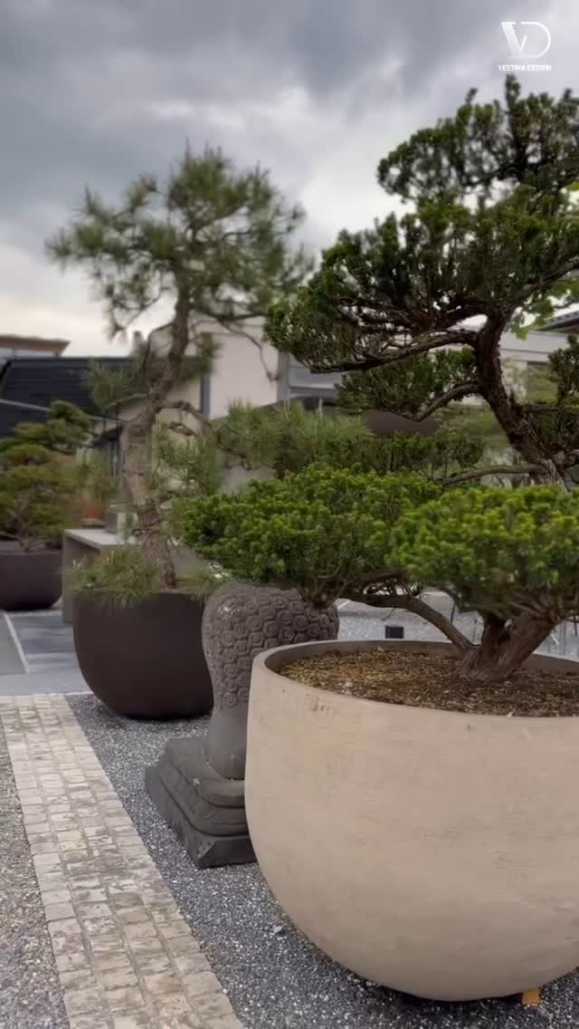 Mit grosser Freude darf ich verkünden, dass Vestina Garden Architecture & Design nun Teil der neu gegründeten Firma FoRMS AG ist (ehemals hauser design). 🥂
Ich freue mich sehr, unsere seit 2021 gewachsene Partnerschaft fortzusetzen. Vieles verändert sich, doch die Leidenschaft für unsere Arbeit bleibt bestehen.
Gemeinsam mit den inspirierenden Outdoor-Möbelexperten verbinden wir unsere Stärken – eine perfekte Ergänzung aus Outdoor-Möbelkompetenz und Gartenarchitektur, die denselben Fokus teilt: Komfort, Ästhetik und die Schaffung lebendiger Aussenräume mit echter Wohnqualität.
#GardenArchitecture #OutdoorLiving #FurnitureDesign #LandscapeDesign #OutdoorSpaces #GardenDesign #LuxuryOutdoors #AestheticLiving #ComfortAndStyle