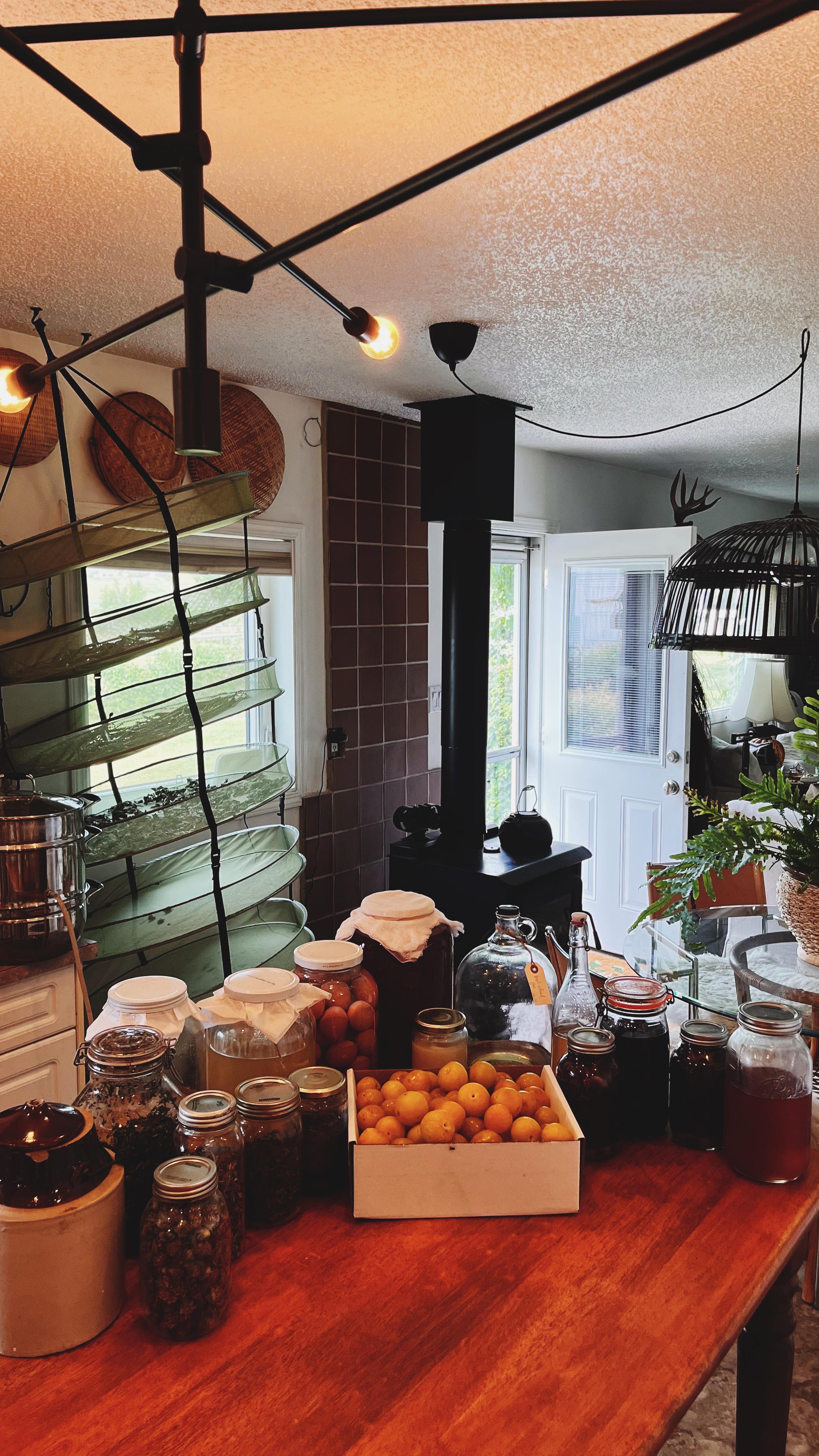 I’ve been canning up a storm lately and slowly building up stock for the new cellar shelves. Funny how things change - the girl of my youth wouldn’t recognize the girl I am today. Forget about the latest design trend…I’m beyond excited about my new root cellar. Weird how things I once gave priority to have been bumped down the queue and replaced with a whole new way of thinking/living.
In my world, a well stocked root cellar with shelves lined with ferments and homemades in jars and crocks, along with dried herbs and homegrown produce in wooden crates, is a glorious sight to behold. The details of our dumbwaiter design are currently being sorted and will run from the kitchen down to the cellar. Side note, why do new homes not incorporate cellars anymore? It’s a head-scratcher when you think about it, removing a tried and true source of natural refrigeration to a new build, regardless of whether the homeowner preserves or not.
What I’m currently tackling - fresh fruit from BC that I can’t grow (peaches, cherries, plums), juicing farm chokecherries and rhubarb for syrups, and fermenting vinegars from the scraps. August and September are always busy and bountiful! Today the peaches and plums will be processed into butter, pie fillings and sauces. I’m trying some fresh juice concentrates this year, strawberry lemonade is one of them. It’s always a bit of a gamble trying new recipes, but one I rarely regret.
Anyway, off to the harvest room. Happy hump day, friends!
#canning #canningandpreserving #farmtwo53 #homestead #homesteading #preservation #harvest #fermentation #homemadefood #farm #farmlife #farmgirl #interiordesigner #rootcellar #cellar