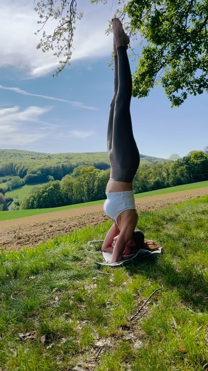 Finding Balance in Nature 🐾🌳🌿🌾🌼🌞
Have a bright and sunny weekend!💚
#naturelovers #natureishealing #respectmotherearth #begratefulalways #respectalllife #beawareofyoursurroundings #beherenow #findyourbalance #balancetraining