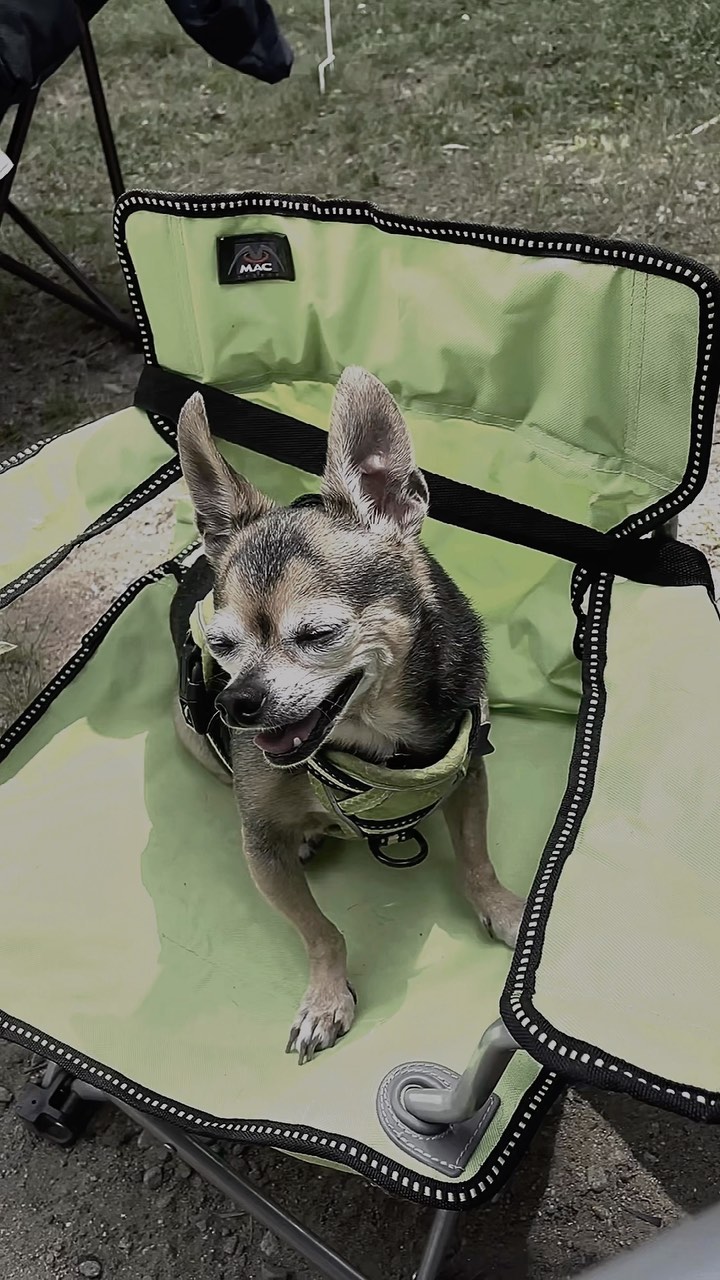 Douters can’t wait until we get back on the road. Problem is we currently are sidelined until we get the van into a dealership and the wait time is like 2 weeks out. So frustrating to think I may have to miss all the events I wanted to experience in Quarzite in January… but I will keep positive thoughts and keep trying to find a solution!! Wish me luck! 🚐 #solofemalevanlife #solofemaletraveler #vanlife #solofemaletravel #campervan #travel #camper #roadtrip #homeiswhereyouparkit #vanconversion #camping #vanlifediaries #adventure #solotravel #camperlife #projectvanlife #vanlifestyle #traveler #homeonwheels #womenontheroad #solotraveler #nature #vanlifers #wanderlust #vanlifemovement #vangirls #vanliving #vanlifeexplorers