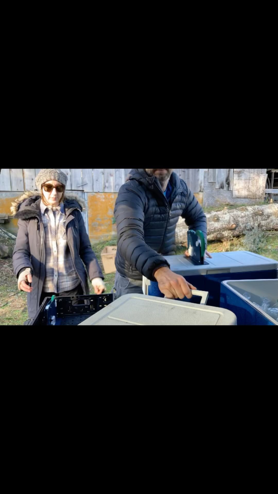 Happy to be a part of @farmship CSA!
91 bags of microgreens going to 91 happy customers!
Have a great weekend everyone.
See you Saturday at @qbfarmersmarket !