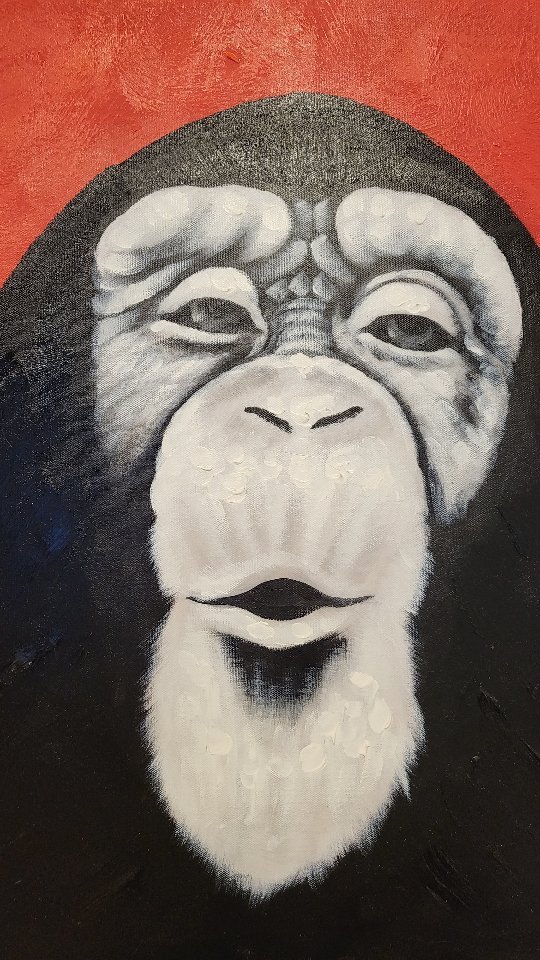 Le relooking capillaire de notre dernière recrue Mélanie ✨️
Elle voulait retrouver de la lumière et du caractère dans sa chevelure 🫶
Mission accomplie ? 😀
#relooking #coiffeurtoulouse #frangerideau #toulousemaville #cuivré