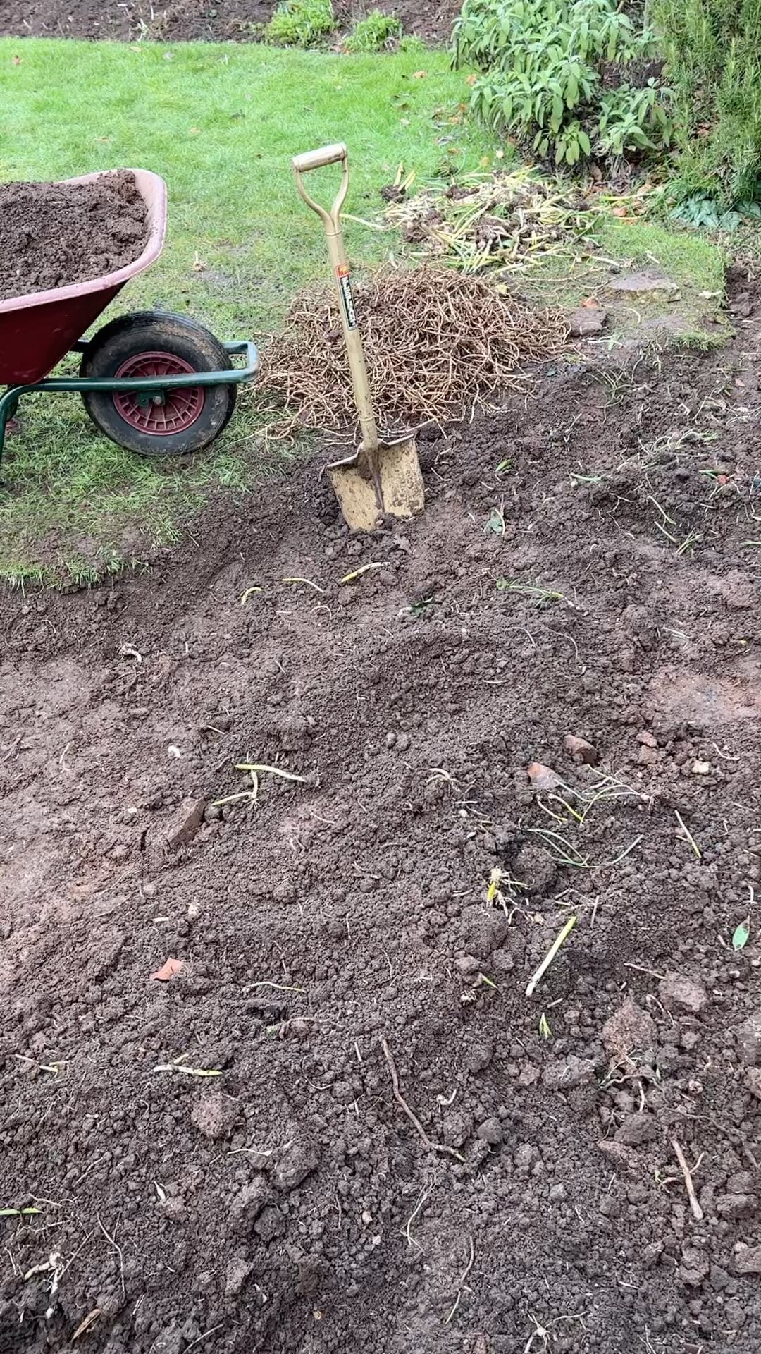It’s a day of clearing out beds full of bind weed!!
The only way to get on top of this invasive thug is to completely strip everything out and re plant up once you’ve sifted through and taken the mounds of spaghetti out!!
#bindweed
#weeding
#gardenmaintenance
#gardeninspiration
#gardeninspo
#landscapedesign