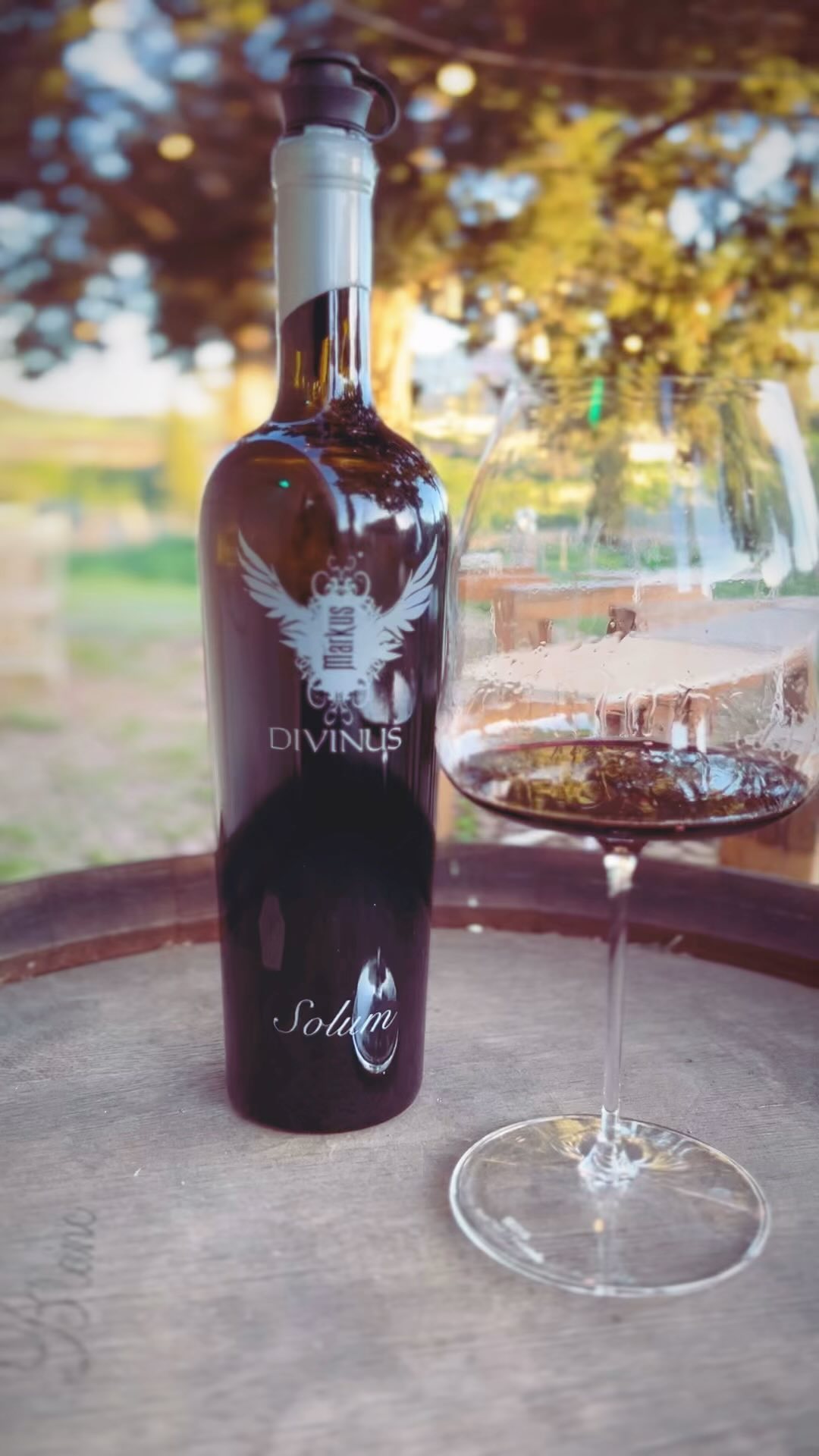 Unearth unparalleled depths of flavor and elegance #Solum. Each bottle holds a unique journey, reserved for those who appreciate the sublime. 🍷✨ #markusdivinus #syrah