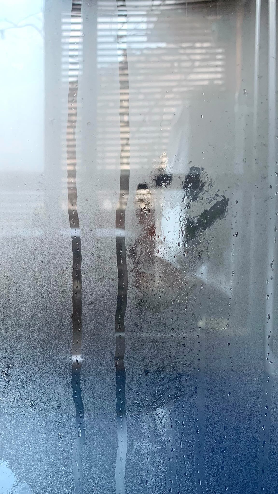 Dzieńdoberek! 🌞
Dziś w końcu w Krakowie znów kawałek słońca! A #niedzielnaeskapada dziś z szuflą na taras 😳⛄️❄️
Kotki harcują w śniegu, a ja robię bicki zgarniając puchowy śniegutren z daszków 💪
Bilans: jedna (na razie) belka złamana pod ciężarem. I tak była do wymiany 😋
:::
.
.
.
.
.
#ilovemyjob #myprecious #winter #bartoszcibajewelry #intothewild #bartoszciba #odśnieżanie #finejewelry #odśnieżankonaśniadanko #zimawmieście #ładowanietwórczejbaterii #panteraśnieżna #białezło #alezima #roofgarden #ogródnadachu #tumidobrze #trochępracytrochęwakacji #przezkosodrzewineiwiatrołomy #śniegupopas #puchowyśniegutren #jewelrydesigner #niedzielnerozrywki #niedzielneeskapady