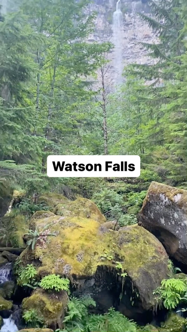 📍 Watson Falls
Learning Topics: waterfalls, old growth forests, native Americans , bird watching
#wildandbarefootadventures #Watsonfalls #northumpqua #hikingwithkids #exploreoregon #getoutside #outdoorclassroom #adventurefamily #homeschooladventures #placebasededucation #outdoorkids #adventure #travel #outdoorsykids #kidswhohike