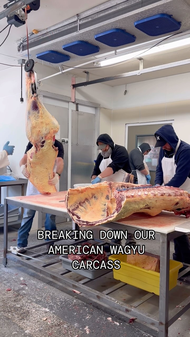 It’s an art form. 🔪 Watch our butchers break down one of our American Wagyu carcasses!
•••
Did you know we sell our beef by halves and wholes? If you’re in the market for a full freezer stock up of local, high quality beef give us a call at (828) 424-4431 or email info@providencefarmstead.com
•••
#localbeef #localfarmers #supportyourlocalfarmer #pastureraisedbeef #americanwagyu #providencewagyu #primebeef
