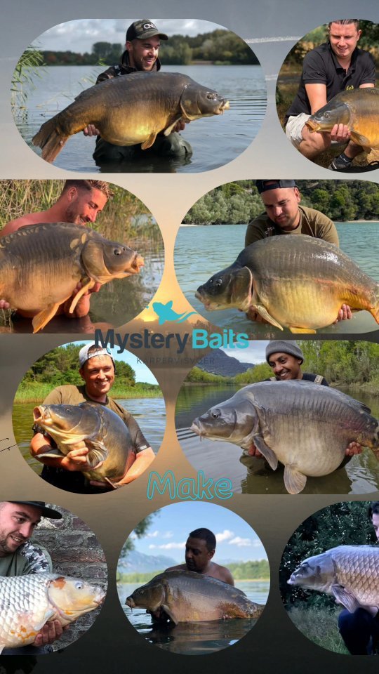Make memories that last forever 👌 Our high quality squid bait is like grandma's cookies for carp...irresistible!🍪 www.mysterybaits.nl
#mysterybaits #spicysquid #sweetsquid #carpfishing #carpbaits #carp #carphotography #carpangeler #karper #karpervisseninnederland #carplifestyle #karpfen #karpfenangeln #karpfenangeln #bigcarp #fishporn #instacarp #carpy #mirrorcarp #bigfish #fisherman #carpzilla #boilies