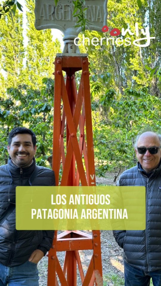 Nuevamente cruzamos la majestuosa cordillera para encontrar uno de los huertos más australes y más desafiantes del mundo. Acá, en la Patagonia Argentina, se producen cerezas para cosecha en febrero, de la más alta calidad para los mercados más exigentes. @capcicherry @rioalara
#cherry #cherries #chileagricola #agrochile #agronegocio #cerezas #cerezo #cherryblossom #smartcherry #redagricola #campochileno #agricultura #revistadelcampo #mundoagro #agronomia #agro #agroquimicos