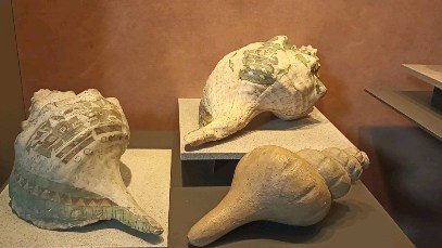 BYZHA . Deslizando la protección del CHYMINIGAGUA El padre y el hijo . El.uno.y el otro.