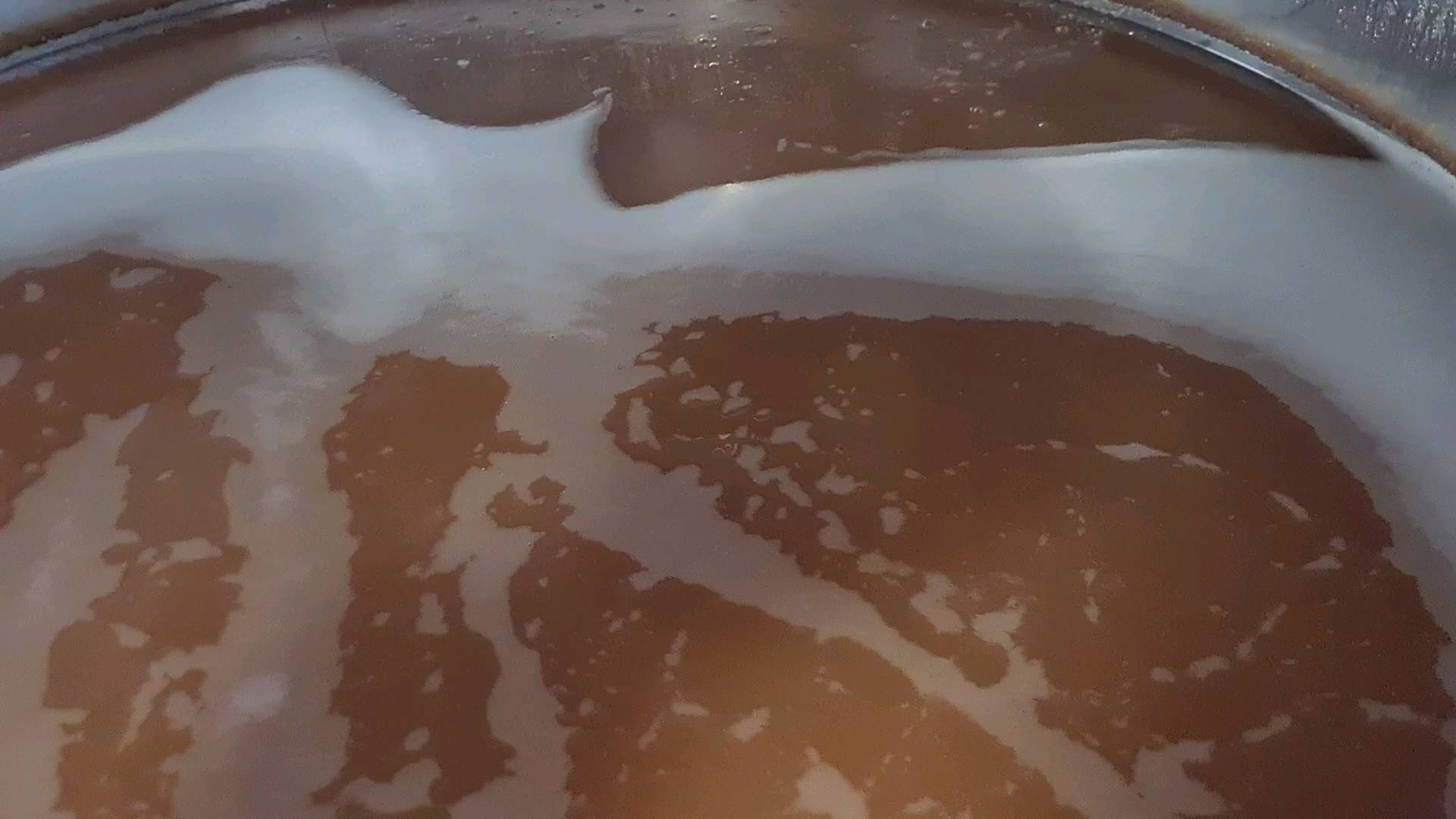 Fin de fermentation de notre Blanc de Noirs
#grandcru #ambonnaygrandcru #champagnelover