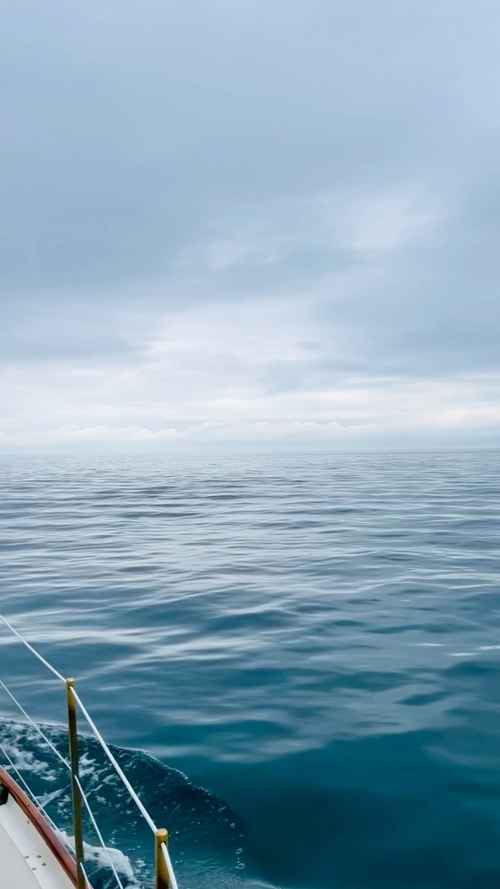 A wonderful Father’s Day on the island with Captain Jim!