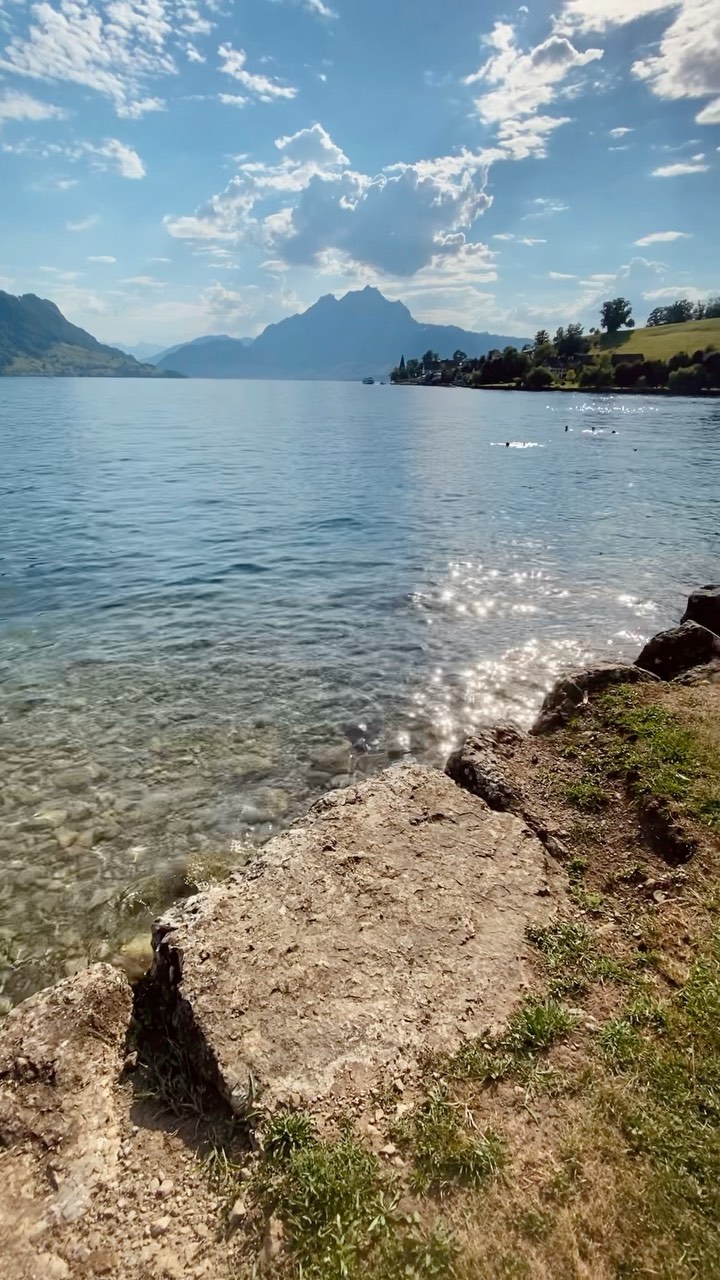 🇩🇪🇨🇭Ich muss mich langsam wieder an den Arbeitsalltag herantasten. Das muss man langsam angehen 😉. Da kommt es gelegen, dass das Wetter so schön mitspielt und dass gleich bei mir um die Ecke ein Stück Paradies ist.
🇪🇸 Tengo que acostumbrarme al trabajo cotidiano. Hay que hacerlo poco a poco. 😉 Que suerte que hace tan buen tiempo y que tengo un pedazo del paraíso a la vuelta de la esquina.
🇬🇧 I have to get used to work on a daily basis. This has to go step by step 😉. So good that we have such great weather and a little peace of paradise around the corner!
#vacationathome #paradise #lakelucerne🇨🇭 #voiceactor #freelancerlife #lovemyjob #lovemyclients #multilingual #Imback #myvoiceisallyours