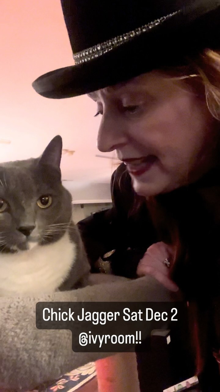 Join Chick Jagger @ivyroom tmrw Sat 12/2!!! 🎶🎶🤗🤗😘#rollingstones #tribute #bayarea #albany #ivyroom #stones #bowie #monkees #chickswhorock #rocknroll #eastbay