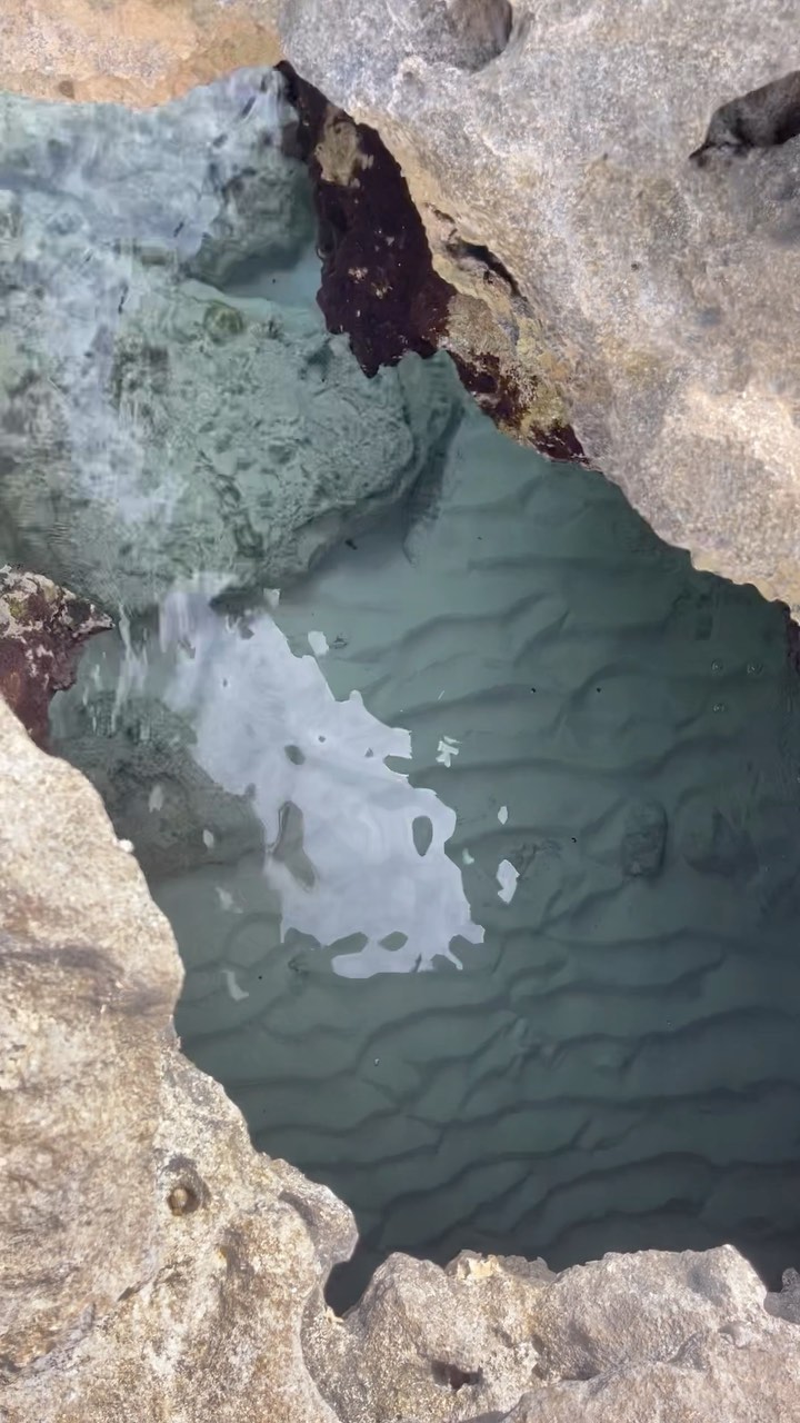 Take the off beaten path with us 🌊
•
📞 (305) 607 0634
•
#bliss #nassau #bahamas #ocean #travel #vacation #paradise #termcharter #yachtcharter #yacht #luxuryliving #luxurylifestyle #lavishliving #lavishlife #getaway #bliss #dock #stanielcay #exumas #albany #bahamar #sls #nassau #paradiseisland #sharks #ftl #seaplane #miami #yachting #offbeatenpath #lavishlife #adventure #explore