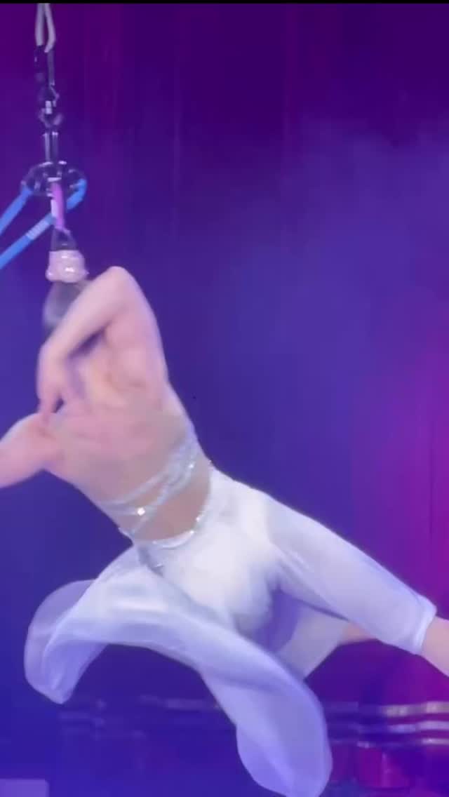 Flying across Austria! 🕊️