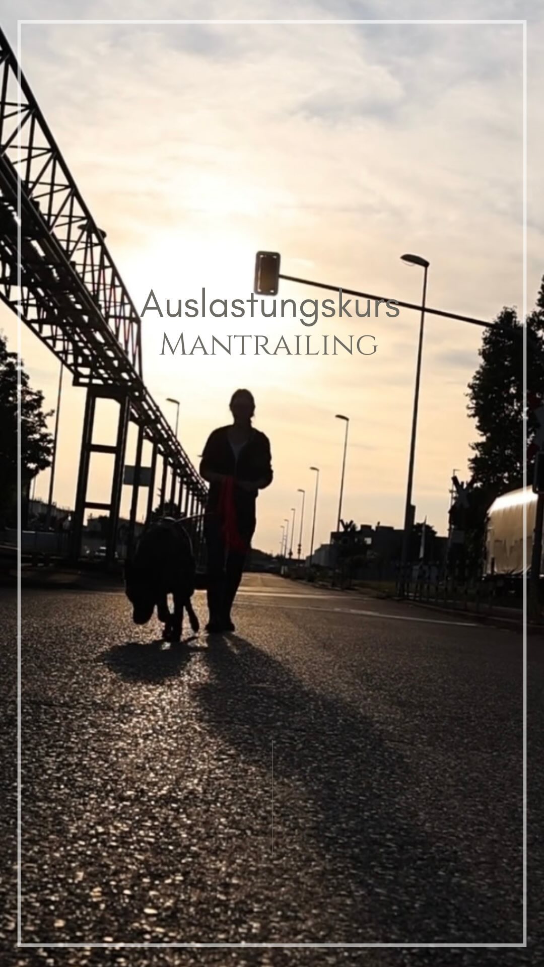 -Mantrailing-
•
Das Mantrailing - die Personensuche - ist eine gemeinsame Jagd als Team.
Da viele Hunde das Grundbedürfnis mitbringen, ihre Nase einzusetzen, bietet es eine geistige und körperliche Auslastung und liegt vielen Hunden im Blut. Das Jagdverhalten lenke ich als Mensch auf das Verfolgen einer bestimmten menschlichen Spur.
Mantrailing ist Teamarbeit.
Jeder Hund hat dabei seine Stärken und Schwächen, auf die es einzugehen gilt.
Diese als Mensch zu erkennen, ggf. aufzufangen und sich gegenseitig zu ergänzen und harmonisch zusammen zu arbeiten, schweißt das Team unfassbar doll zusammen.
•
Wir für unseren Teil haben definitiv Spaß daran gefunden und werden weiterhin selber immer mal wieder an unserem Mantrailingkurs teilnehmen.🙊
•
->jeden Donnerstag von 18 Uhr bis 20 Uhr in und um Essen
•
•
•
#dogsport #dogtraining #dogtrainingtips #hundesport #hundetraining #hundetrainer #mantrailing #mantrailingdog #workingdog #workingdogsofinstagram #gsd #germanshepherd #schäferhund #instadog #dogsofinstagram #dogoftheday #dogreels #hund #dogs