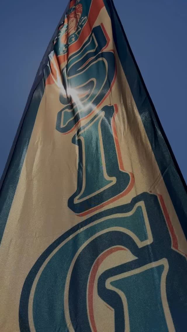 Our new awesome flag is up!
What do you think?
Now nobody will pass by without knowing we do SIGNS 😂
Special thank you @tamgdeto and Ai to make our retro idea design come alive🫶
#feathergflag #signs #signature #custom #custommade #flag #flags #customflags #darinkasigns #advertising #riverhead #mainrd #signshop #letterings #graphic #design #retro #hamptons #ai #printed #longisland #wedosigns #yourfavouritesignshop