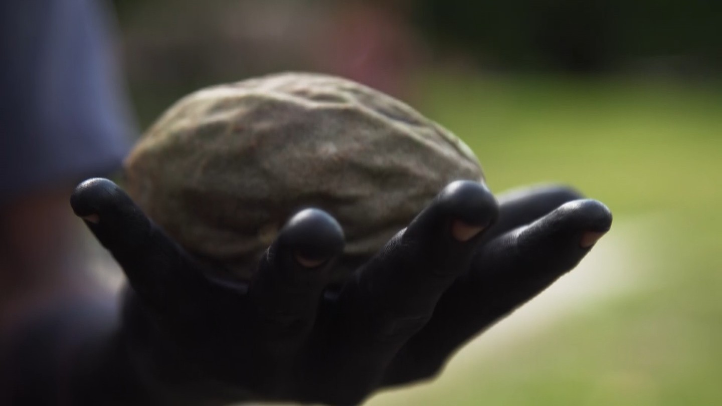 Dans quelques semaines, vous pourrez enfin voyager avec nous en Amazonie ! Diffusion annoncée prochainement.
Réalisatrice : @juliethierry @clairedelfini
Chef op : François Chambe
Montage : @viiirgiiin
Producteurs : @franckmorlet @nicolasbarsikian
Production : @mts_emilie
#amazonia #tournage #documentary #documentaire #production