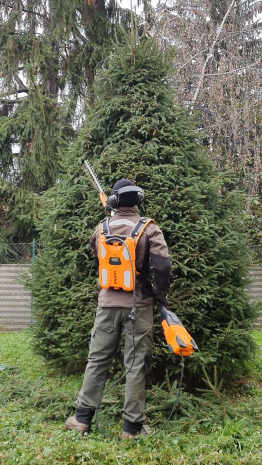 Potature.
.
.
.
.
.
.
.
.
#treesurgeon #treclimbing #giardinaggio #giardino #natura #garden #piante #green #fiori #verde #nature #gardening #potatura #italy #giardiniere #giardinodicasa #italia #love #flowers #landscape #plants #polliceverde #potature #foglie #sempreverde #giardini #topiartis