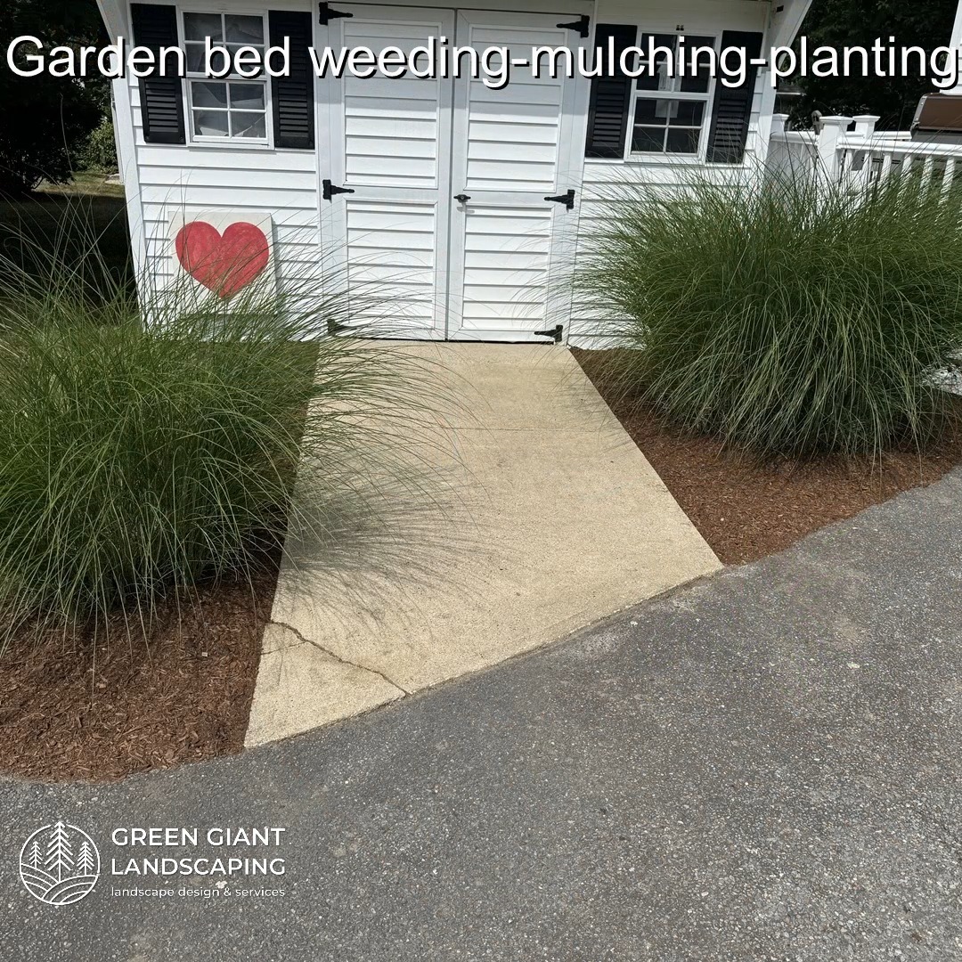 Garden bed weeding, mulching and planting.
Landscaping Southeastern, MA.
Call now for your free quote!
Plants installation
Tree and shrub care
Seasonal cleanups
Bobcat services
Old overgrown shrubs removal
Mulch installation
Garden maintenance
Professional Landscape Design.
https://www.greengiantlandscaping.com/
Phone:
+1 413-406-9094
#landscaping #landscapedesign #gardening #gardendesign #landscaper #landscapearchitecture #treeandshrubtrimming #mulch #Massachusetts #southshore #newton #boston #hingham #marshfield #scituate #NewtonMA #scituatema #milton #canton #wellesleyma #SpringCleaning #shrubtrimming #shrubcare #plantingseason #plantingtrees #plantingdesign #gardentransformation