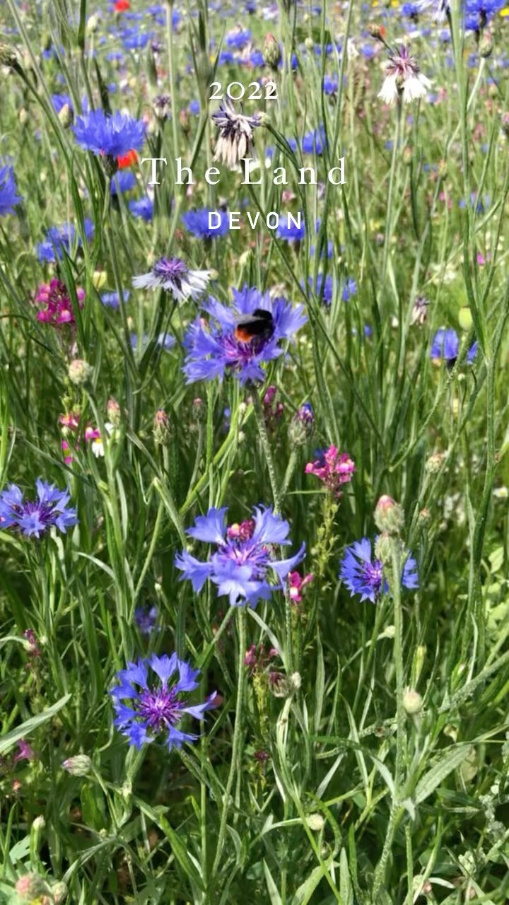 Happy New Year from us to you!
2022 was a year of new beginnings for us.
May 2023 be a year of thoughtful wonder and appreciation for this incredible planet we call home 🌎🌿
#escapetotheland
#2022
#2023