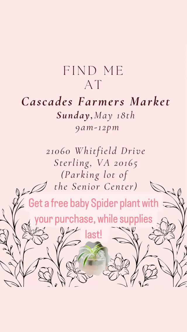 See what’s new!
Fragrance Free Whipped Body Cream
Berry Swirl Bath Bar
Teakwood Men’s Bath Bar
And while they last, get a free baby Spider Plant 🌱 with your purchase ☺️