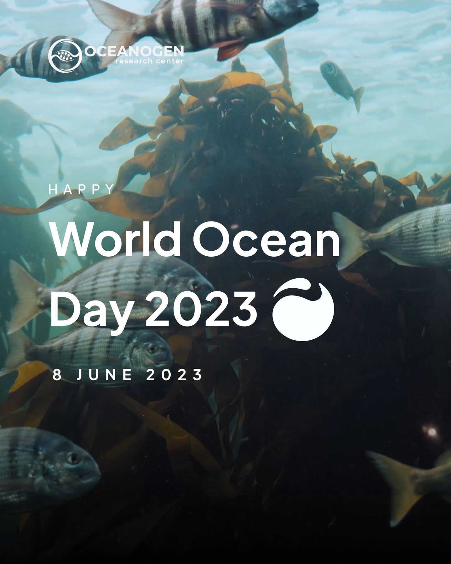 Dive into a world of wonder on World Ocean Day 2023, as we celebrate the heartbeat of our planet and pledge to protect the ocean's boundless beauty.
—
Website oceanogen.com
Email contact@oceanogen.com
Instagram @oceanogen