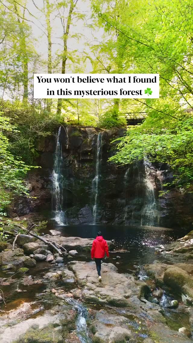 One of the best places to see waterfalls in Northern Ireland is Glenariff Forest Park. There’s a 3 km loop trail called the Waterfall Walkway that takes you through a beautiful green valley. Along the way, you’ll see two main waterfalls 📍Ess-Na-Crub and 📍Ess-Na-Larach. The path has some steep parts with steps and wooden walkways, making it a great way to really enjoy the forest and waterfalls up close 💚#travel #northernirelandtourism #northernireland