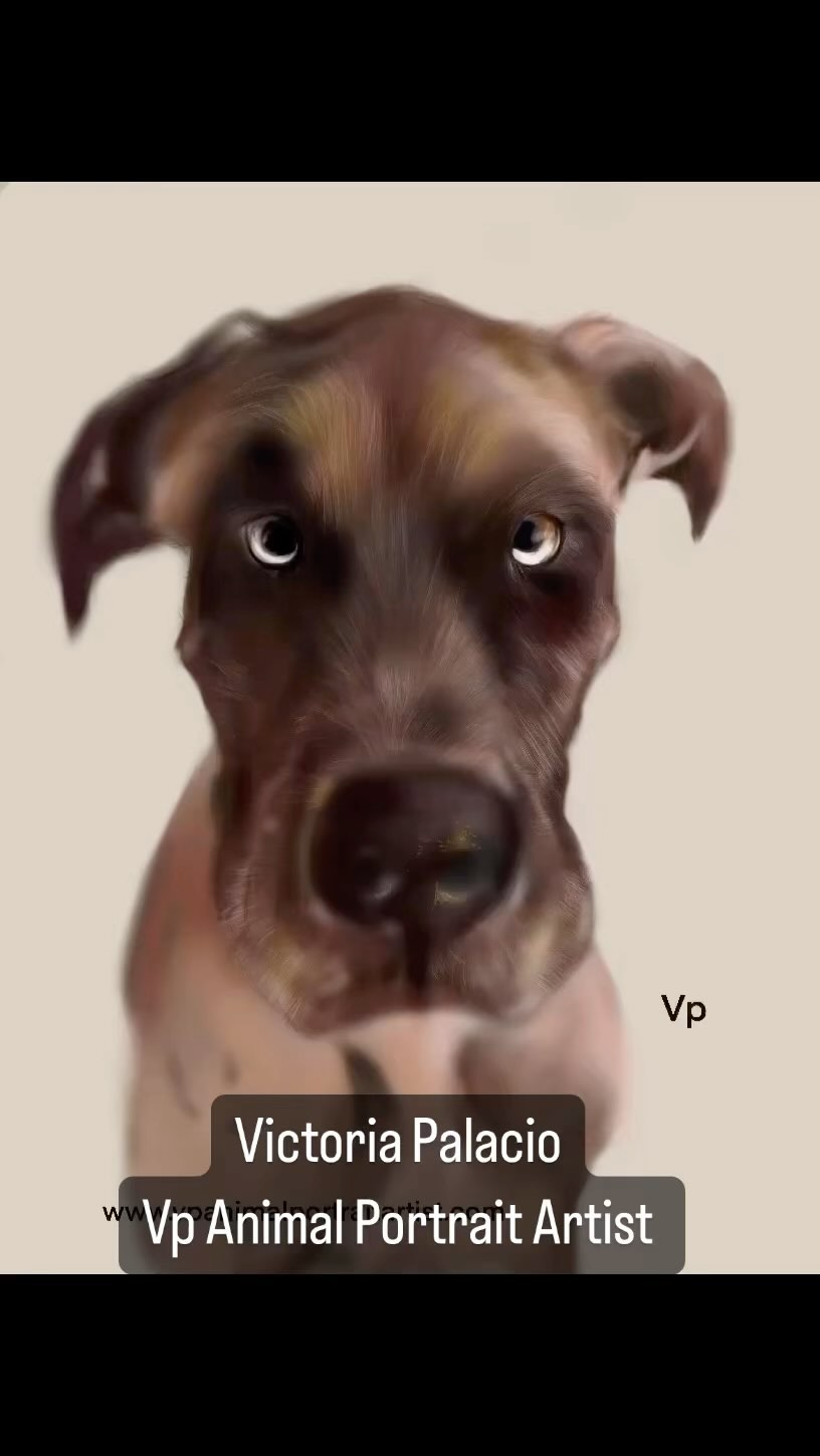 Digital drawing.
#vpanimals #animalovers #doglover