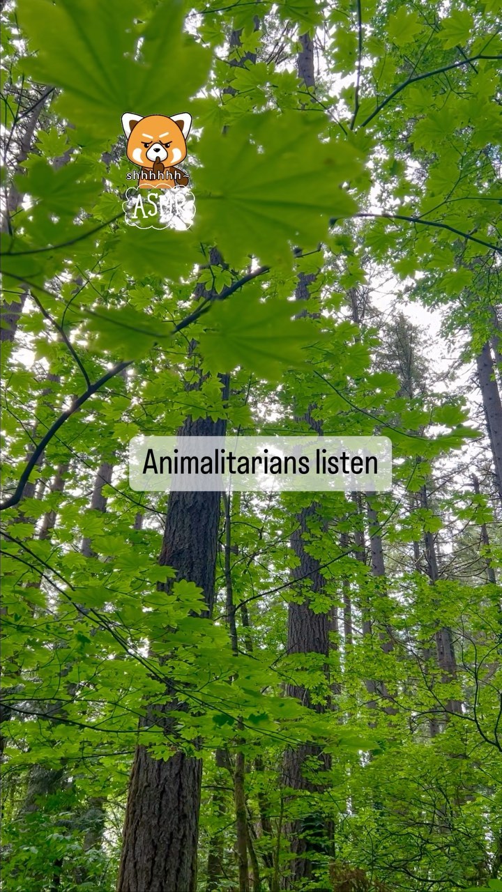 Animalitarians listen to nature. We take time out of our day to experience the symphony of exquisite sounds around us. #natureasmr #satisfyingvideos #asmr #relaxingtime #naturephotography #peaceful #calm #vibin #naturelovers #relaxingvideos #forest #greenreels
#asmrsounds #explorepage
#satisfyingvideos #treesofinstagram #naturephotography #stressrelief #lifestyle #embracenature
#relaxwithnature #nature #naturecaptures #foresthealing #selfcare #meditation #wellness