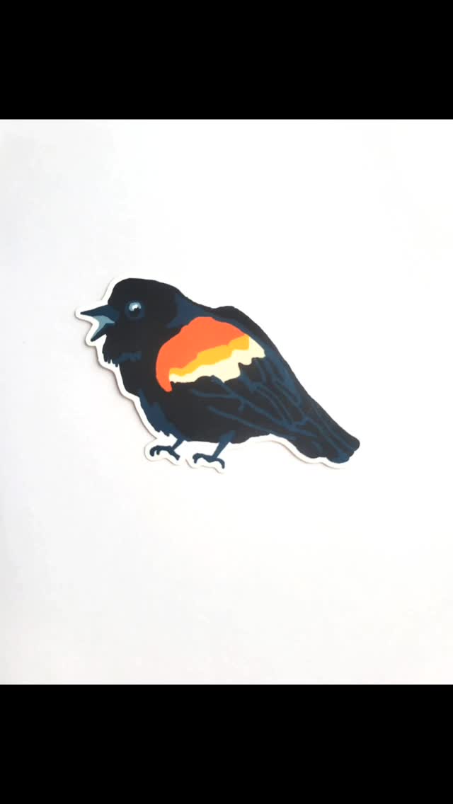 PILLAR SHOP NOW OPEN
We are excited to share with you a collection of work by artists previously shown at PILLAR Gallery + Projects over the year and a half. This features riso prints by Directangle Press @directanglepress , stickers, handmade items and more
Artists Featured:
Victoria Elbroch @victoriaelbrochart
Lauryn Welch @laurynredwelch
Bri Custer @briiiiicuster
Jackie Hanson @jackiehansonart
Hannah Perrine Mode @hannahpmode
Ellina Chetverikova @ellinachetverikova
Mary O'Malley @maryomalleyart
Pillargalleryprojects.com/shop
______
#supportsmallbusiness #shopsmall #stickershop #printshop #printsforsale