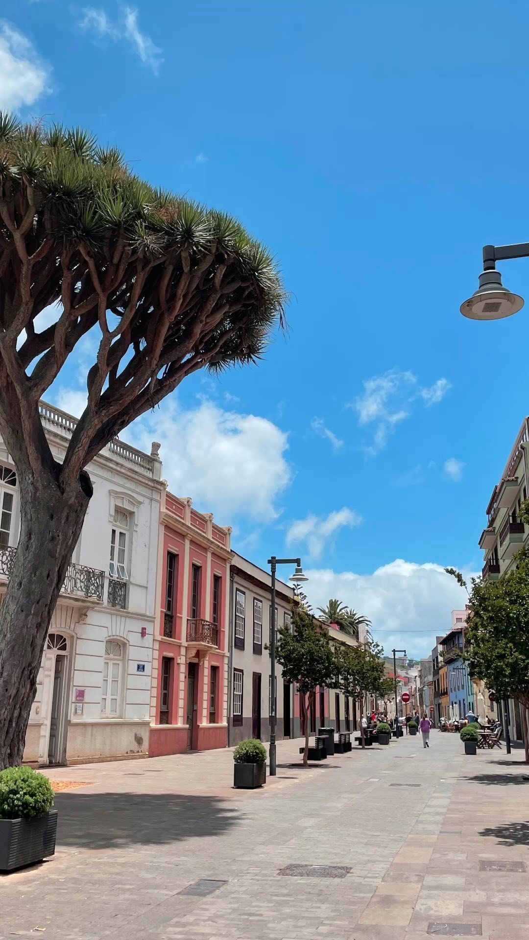 Hoy os daremos 10 razones por la que ya estáis tardando en ir que Tenerife 😝
1. Buen tiempo: allí siempre hace buen tiempo, perfecto para visitar muchos muchos sitios. Por cierto, incluso con lluvia hace calorcillo ☺️🌴
2. Playa y montaña, si te gusta la playa podrás elegir entre muchas opciones, en cambio si eres más de montaña, tienes el Teide y el parque natural de Anaga.
3.La comida, se puede disfrutar de una buena gastronomía típica del lugar 😝
4. Si alquilas un coche la gasolina te saldrá tirada de precio ( allí es muy barato 🤑)
5. Fiesta 🥳, por la zona de Adeje puedes encontrar muchaaaa vida nocturna 💃🏼🕺🏽
6. Los Acantilados… son brutales
7. Siam Park, es un parque acuático en donde lo pasarás increíble 🙌 ( tiene una de las atracciones de agua más alta de Europa 👀)
8. Ver el atardecer en cualquiera de sus miradores es una experiencia única e inolvidable. Lo decimos por experiencia 😌😉
9. Ver el cielo nocturno cerca del Teide o en algún mirador… puedes ver las constelaciones y es … sin palabras y si hacéis una actividad en grupo en donde se vaya más preparado… increíble.
10. Visitar sus ciudades y la Laguna imprescindible!!!!
11. Disfrutar haciendo, buggys, quads, motos de agua( aprovecha que aquí son más baratas y es una experiencia súper divertida) catamarán… buff tenéis mil planes de donde elegir.
12. Upsss ya nos pasamos, nosotros seguiríamos diciendo más cosas peroooo para saberlo tenéis que entrar en nuestra web 😂😜. No os olvidéis Viajesaven.com
#tenerife #tenerife🌴 #islacanarias #paraíso #canaryislands #teide #vulcano #sunset #islandlife #island #traveltheworld #travel #travelblogger #trip #tips #musttovisit