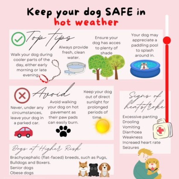 Some pieces of advice for your four-legged dog!
.
.
.
#scotland #edinburgh #property #investment #investments #realestate #sales #lettings #salesandlettings #estateandlettingagent #estateandlettingsagent #lettingagent #property #newhome #househunting #house #propertysearch #stunninghomes #lovelyhouses #summer #hot #hotwave #hightemperatures #dogsandhot #uk #tipsfordogs #instadogs #dosgsofinstagram