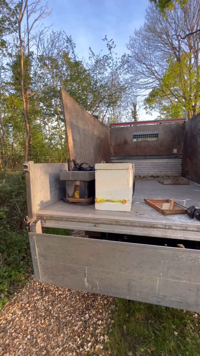 Our typical Sunday Evenings spent as beekeepers 🐝🌞
#FamilyBeekeeping #SwarmSeason #HoneyHarvest #BeeKeepingLife #LocalHoney #BuzzingBees #ApiaryAdventures #BeeFamily #WiggleDance #NatureLovers #PollinatorPower #SupportLocal #SustainableFarming #HealthyHives #BeeSeason #HoneyBusiness #BehindTheScenes #SmallBatchHoney #GoldenHoney #BusyBees #QueenBee #BeeFarm #SaveTheBees #BeeKind #BeekeepersOfInstagram #SwarmControl #BeeHealth #HarvestTime #SpringBeekeeping #lovebees