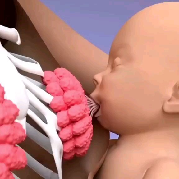 A mágica Divina da Natureza no processo de amamentação ❤️
#amamentação #aleitamentomaterno #aleitamento #leitematerno #naturezaperfeita