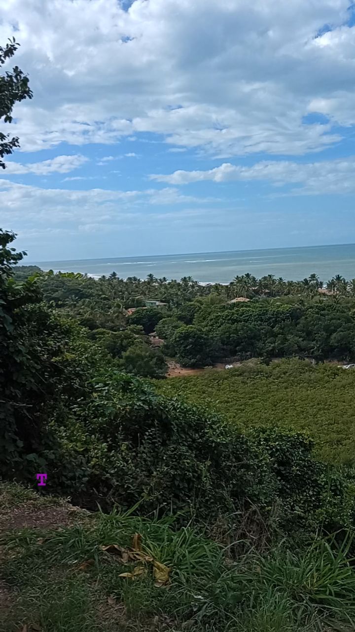 Reserve uma ou duas diárias no seu pacote e venha aproveitar o melhor de Trancoso 😍
#transferarraialdajuda
#transferpraiadoespelho
#transfertrancoso
#transfercaraiva
