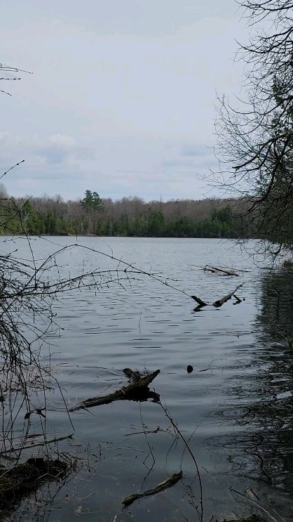You have two homes. The earth, and your body. Take care of them.
Happy Earth Day everyone. I hope you are able to get outside in this glorious weather and enjoy the outdoors. I was fortunate enough to be out hiking with two good friends. π