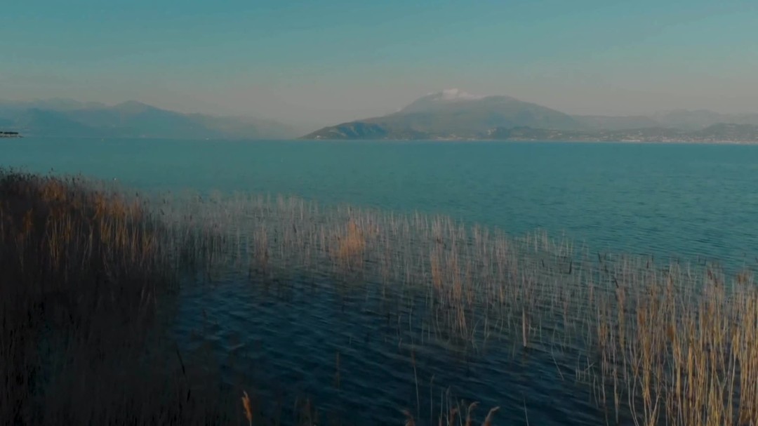 Breathing...we all do it and sometimes the way we breathe is telling our brain that we should be engaging our sympathetic nervous system to prepare to fight, flee or freeze.
Here is an exercise that may help you to engage the parasympathetic nervous system, to promote repair, restore, relax and recovery.
#breathwork #breatheforlife #stress #anxiety #massagerecoverymortdale