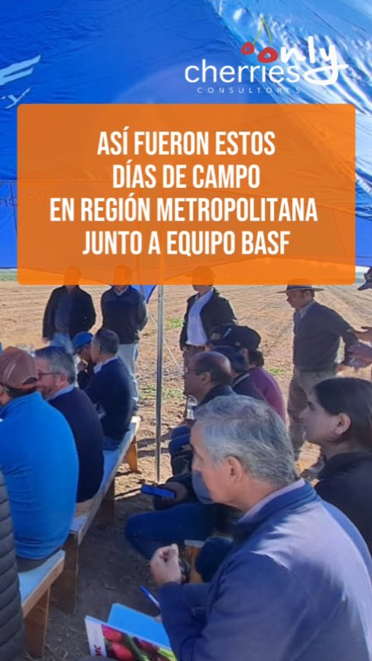 Días de campo que nos permiten intercambiar experiencias e ir mejorando en conjunto con los productores. Nunca dejamos de aprender y siempre buscamos cómo mejorar.
#cherry #cherries #chileagricola #agrochile #agronegocio #cerezas #cerezo #cherryblossom #smartcherry #redagricola #campochileno #agricultura #revistadelcampo #mundoagro #agronomia #agro #agroquimicos