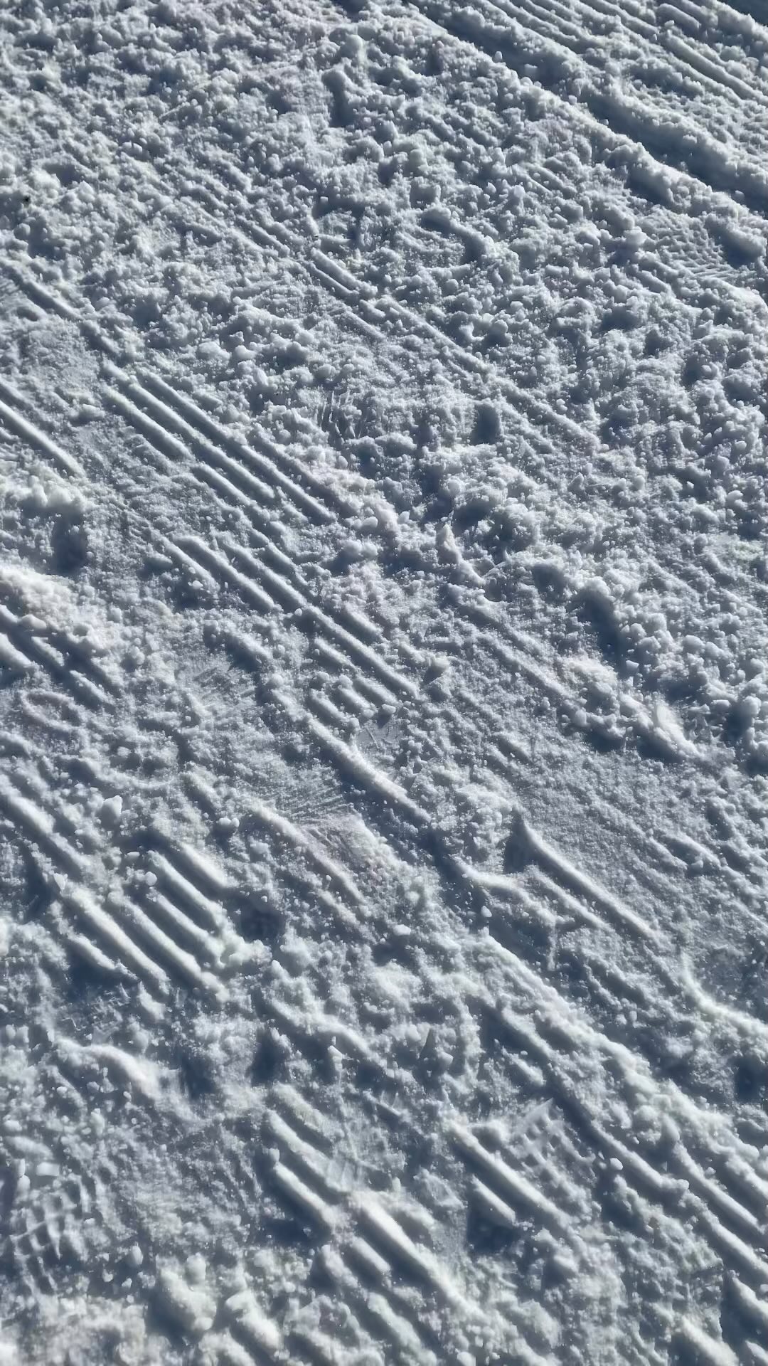 Good mornig #scuolmountains #scuolbergbahnen