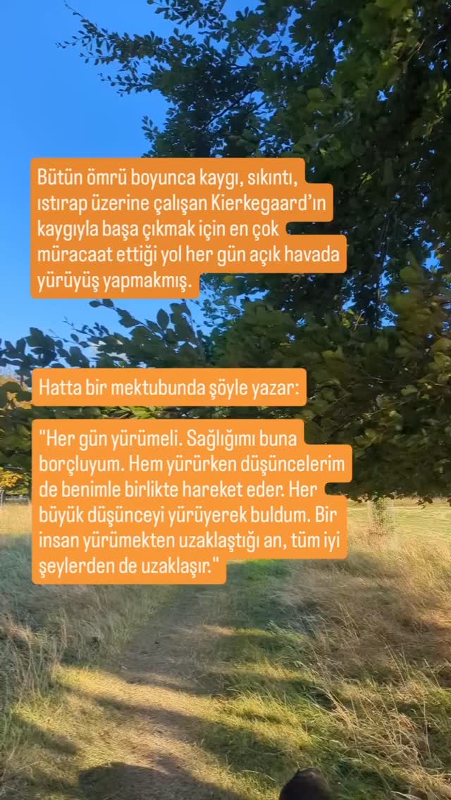 Yürürken salgılanan endorfinin stres ve kaygıyı azaltmasının yanı sıra, doğal olarak sağ kol - sol bacak ve sol kol - sağ bacak çapraz şekilde hareket eder. Bu ritmik, çapraz beden hareketleri, beynin sağ ve sol lobları arasında iletişimi (senkronizasyonu) artırır.
Bu:
Duygusal düzenleme,
Problem çözme ve
Zihinsel dengeyi destekler.
Yani yürürken hem fiziksel hem de nörolojik bir "denge" oluşur.